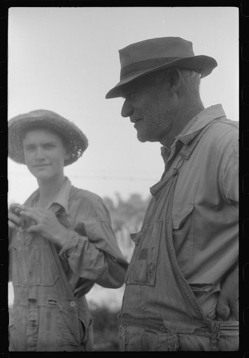 Untitled photo, possibly related to: The sons of Mr. E.A. Marcus, FSA (Farm Security Administration) borrower, near Woodville, Green County, Georgia