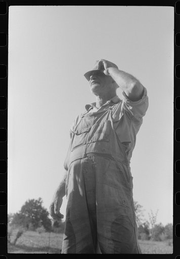 Untitled photo, possibly related to: The sons of Mr. E.A. Marcus, FSA (Farm Security Administration) borrower in Woodville, Green County, Georgia