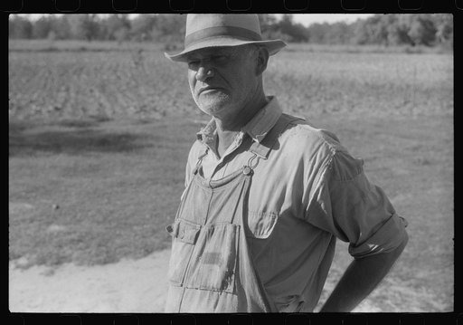 Untitled photo, possibly related to: The sons of Mr. E.A. Marcus, FSA (Farm Security Administration) borrower in Woodville, Green County, Georgia