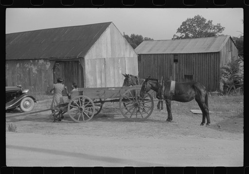 Untitled photo, possibly related to: Saturday afternoon in Union Point, Greene County, Georgia