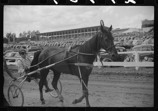 Untitled photo, possibly related to: Sulky racing at the Rutland Fair, Rutland, Vermont