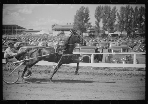 Sulky racing at the Rutland Fair, Rutland, Vermont