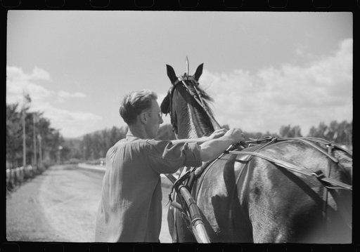 Untitled photo, possibly related to: Sulky racing at the Rutland Fair, Rutland, Vermont