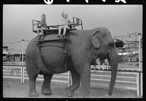 A ride on the elephant at the Champlain Valley Exposition, Essex Junction, Vermont