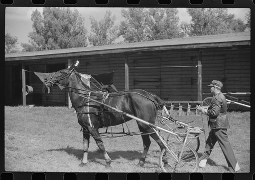 Spectators at the sulky races at the Rutland Fair, Rutland, Vermont