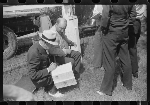 Untitled photo, possibly related to: At the sulky races at the Rutland Fair, Vermont