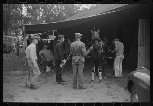 At the sulky races, Rutland Fair, Rutland, Vermont