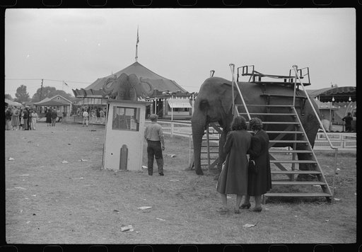 Untitled photo, possibly related to: At a "rodeo" show at the fair in Rutland, Vermont