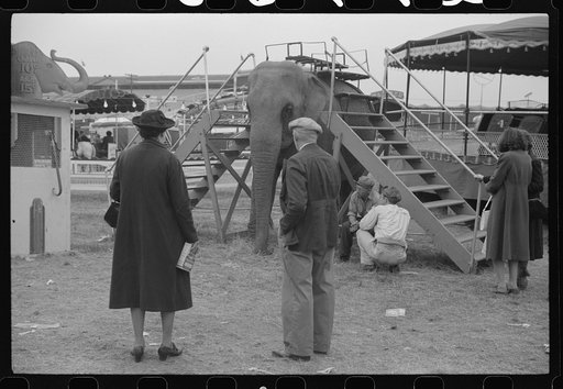 Untitled photo, possibly related to: At a "rodeo" show at the fair in Rutland, Vermont