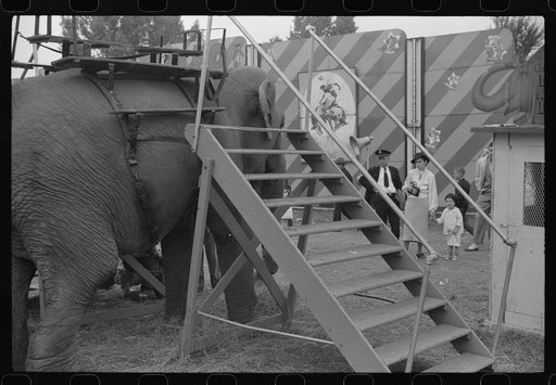 Untitled photo, possibly related to: At a "rodeo" show at the fair in Rutland, Vermont