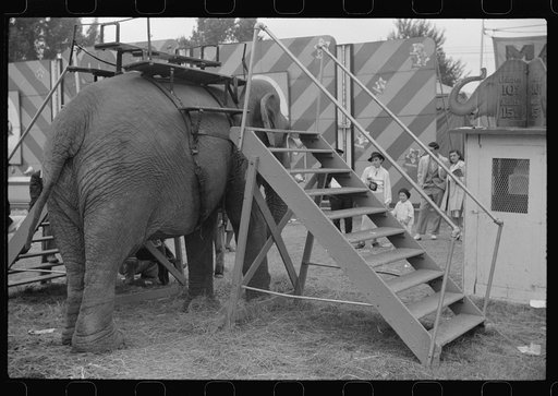 Untitled photo, possibly related to: At a "rodeo" show at the fair in Rutland, Vermont