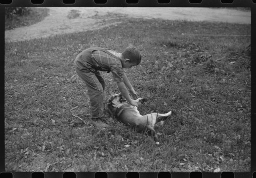 One of the Gaynor children playing with his dog on the Gaynor farm near Fairfield, Vermont