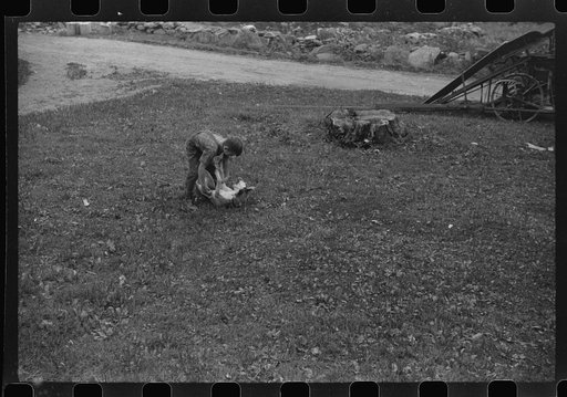 Untitled photo, possibly related to: One of the Gaynor children playing with his dog on the Gaynor farm near Fairfield, Vermont