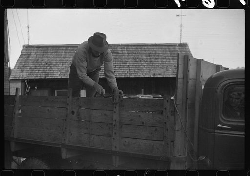 Untitled photo, possibly related to: Cows going into the barn early in the morning on the farm of William Gaynor, FSA (Farm Security Administration) dairy farmer, Fairfield, Vermont