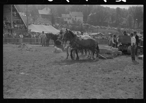Untitled photo, possibly related to: Tunbridge, Vermont. Weight-pulling contest for horses at the "World's Fair"
