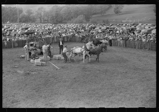 Untitled photo, possibly related to: Tunbridge, Vermont. Weight-pulling contest for horses at the "World's Fair"
