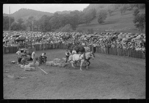 Tunbridge, Vermont. Weight-pulling contest for horses at the "World's Fair"