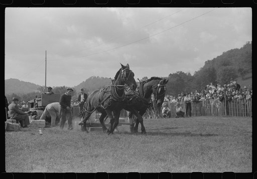Weight-pulling contest for horses at the "World's Fair" in Tunbridge, Vermont