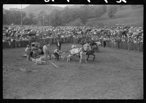 Untitled photo, possibly related to: Tunbridge, Vermont. Weight-pulling contest for horses at the "World's Fair"
