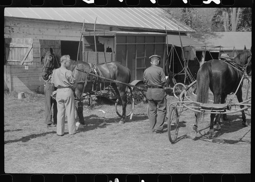 Untitled photo, possibly related to: At the stables by the sulky racetrack at the "World's Fair" in Tunbridge, Vermont