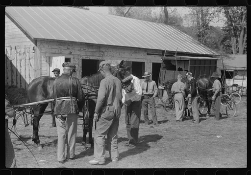 Untitled photo, possibly related to: At the stables by the sulky racetrack at the "World's Fair" in Tunbridge, Vermont