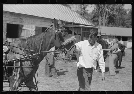 At the stables by the sulky racetrack at the "World's Fair" in Tunbridge, Vermont