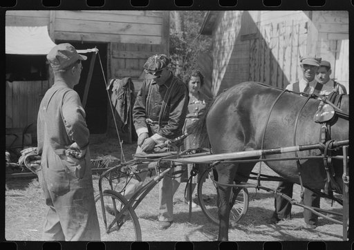 Untitled photo, possibly related to: At the stables by the sulky racetrack at the "World's Fair" in Tunbridge, Vermont