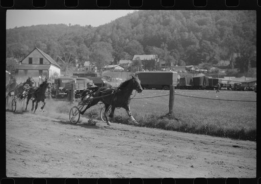 Untitled photo, possibly related to: At the stables by the sulky racetrack at the "World's Fair" in Tunbridge, Vermont