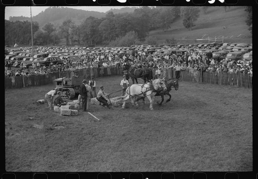 Untitled photo, possibly related to: Tunbridge, Vermont. Weight-pulling contest for horses at the "World's Fair"
