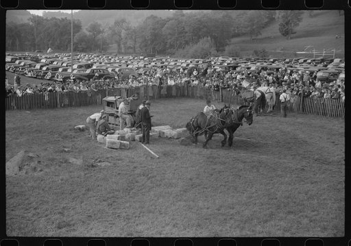 Untitled photo, possibly related to: Tunbridge, Vermont. Weight-pulling contest for horses at the "World's Fair"