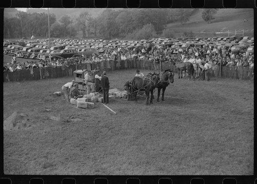 Untitled photo, possibly related to: Tunbridge, Vermont. Weight-pulling contest for horses at the "World's Fair"