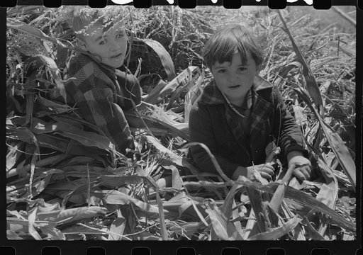 Untitled photo, possibly related to: Johnny Gaynor driving a team of horses on the Gaynor farm near Fairfield, Vermont