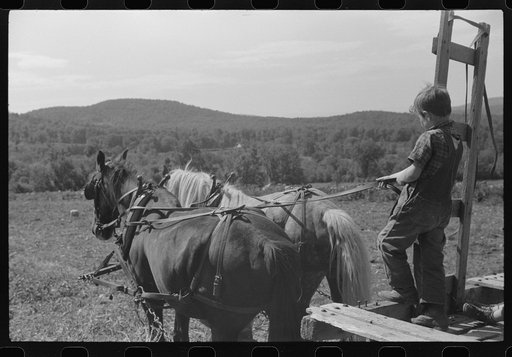 Johnny Gaynor driving team of horses on the Gaynor farm near Fairfield, Vermont