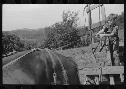 Johnny Gaynor driving a team of horses on the Gaynor farm near Fairfield, Vermont