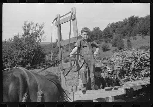 Untitled photo, possibly related to: Johnny Gaynor driving a team of horses on the Gaynor farm near Fairfield, Vermont
