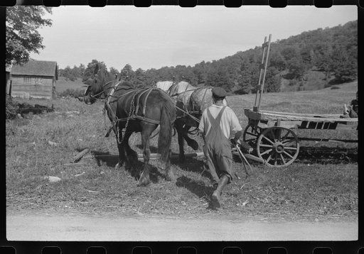 Untitled photo, possibly related to: Mr. William Gaynor watering the horses on his farm near Fairfield, Vermont