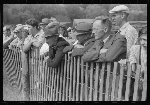 Watching the weight-pulling contest at the "World's Fair" in Tunbridge, Vermont