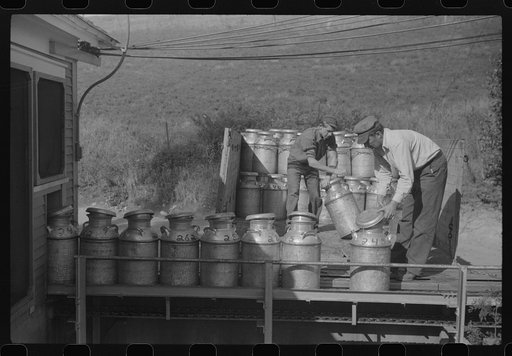 Untitled photo, possibly related to: Opening milk cans at the United Farmers Coop Creamery in East Berkshire, Vermont