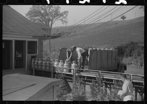 Untitled photo, possibly related to: Opening milk cans at the United Farmers Coop Creamery in East Berkshire, Vermont