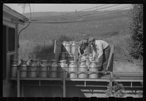 Untitled photo, possibly related to: Opening milk cans at the United Farmers Coop Creamery in East Berkshire, Vermont