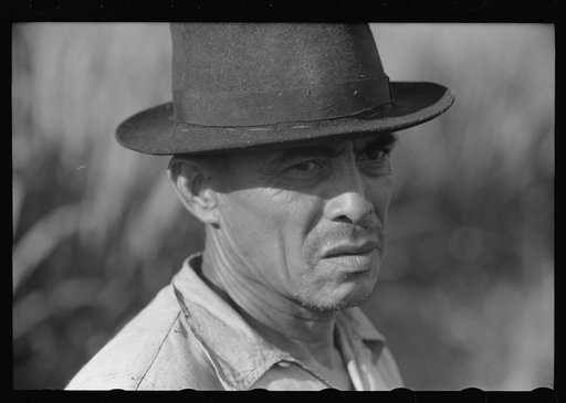 Untitled photo, possibly related to: FSA (Farm Security Administration) tenant purchase borrower near Barranquitas, Puerto Rico