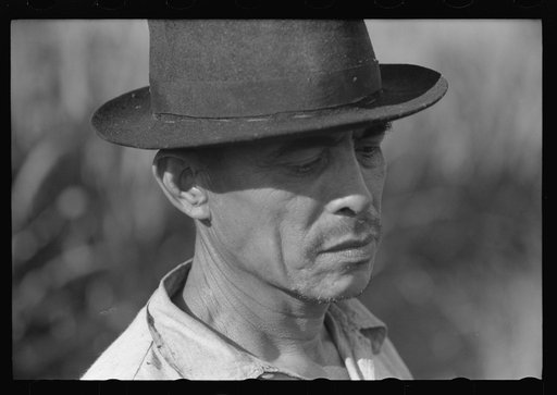 Untitled photo, possibly related to: FSA (Farm Security Administration) tenant purchase borrower near Barranquitas, Puerto Rico