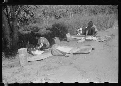 Untitled photo, possibly related to: Using palm leaf as a wash tub on a farm near Manati, Puerto Rico