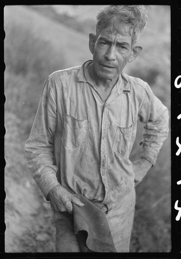 FSA (Farm Security Administration) borrower near Corozal, Puerto Rico