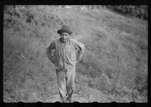 Untitled photo, possibly related to: FSA (Farm Security Administration) borrower near Corozal, Puerto Rico