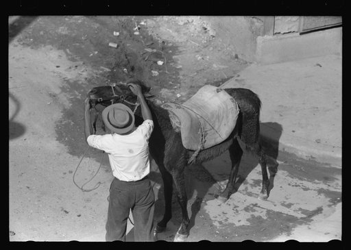Horses are the principal means of transportation for farmers who live in the hills, Puerto Rico