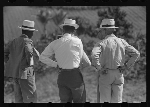 Untitled photo, possibly related to: One of the farmers at the celebration of tenant purchase FSA (Farm Security Administration) borrowers and farm near Corozal, Puerto Rico