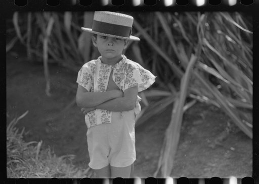 Untitled photo, possibly related to: Farm boy along the road near Corozal, Puerto Rico