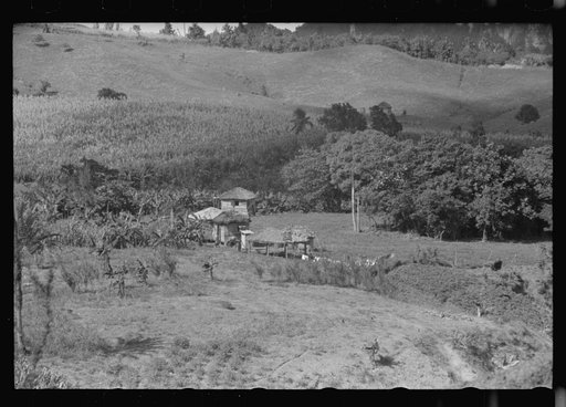 Farm landscape in the hills near Corozal, Puerto Rico
