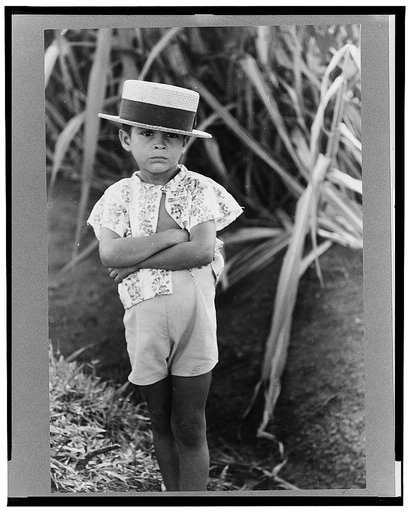 Farm boy along the road near Corozal, Puerto Rico